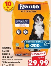 Dante Sucha karma dla psów kurczak lub wołowina