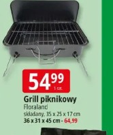 Grill piknikowy Floraland