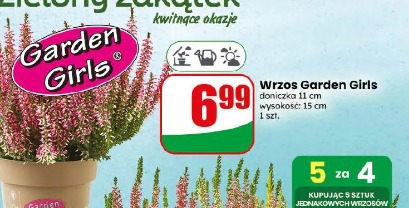 Wrzos Garden Girls