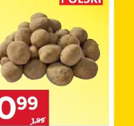 Ziemniaki jadalne