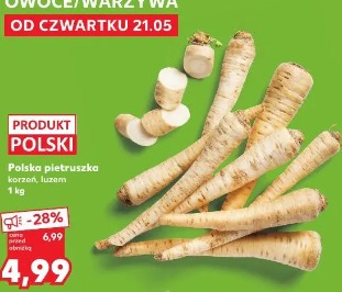 Polska pietruszka korzeń