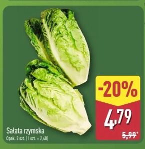 Sałata rzymska