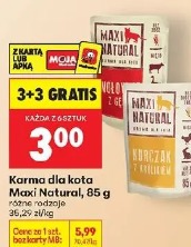 Maxi Natural karma dla kota