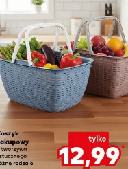Koszyk zakupowy z tworzywa sztucznego, różne rodzaje