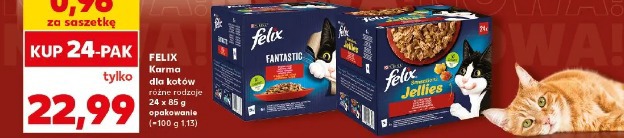 Felix karma dla kotów