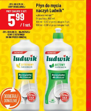 Płyn do mycia naczyń Ludwik