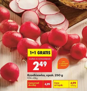 Rzodkiewka