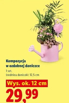 Kompozycja w ozdobnej doniczce