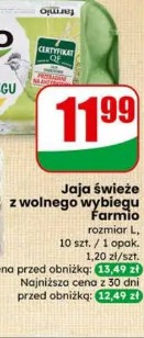 Jaja świeże z wolnego wybiegu Farmio