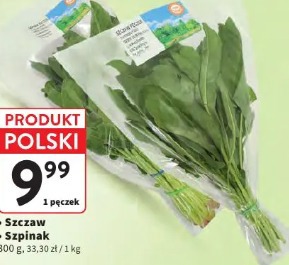 Szczaw