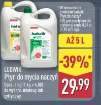 Ludwik Płyn do mycia naczyń