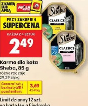 Karma dla kota Sheba