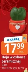 Hoja w osłonce ceramicznej Gasa