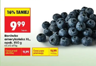 Borówka amerykańska XL, opak. 150 g