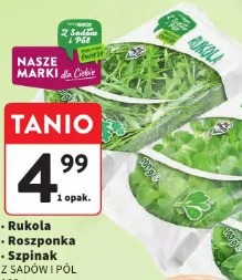 Szpinak z sadów i pól