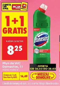 Domestos płyn do WC