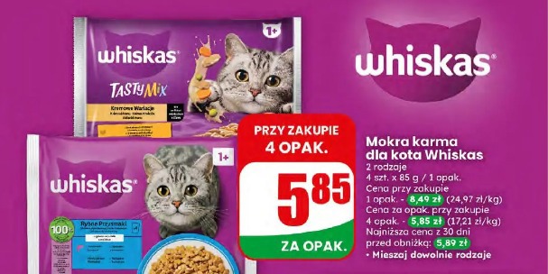 Mokra karma dla kota Whiskas