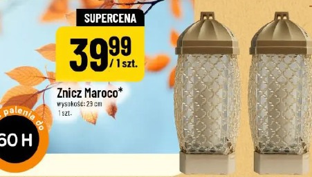Znicz Maroco