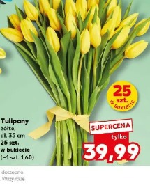 Tulipany żółte