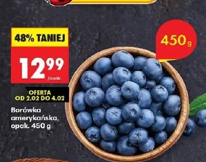 Borówka amerykańska