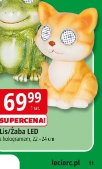 Lis/Żaba LED
