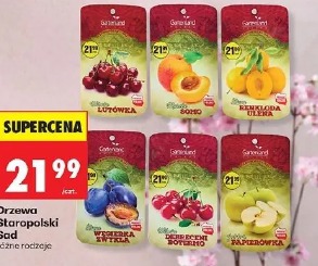 Drzewa Staropolski Sad