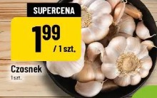 Czosnek