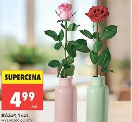 Róża 1 szt.