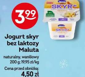 Jogurt skyr bez laktozy Maluta