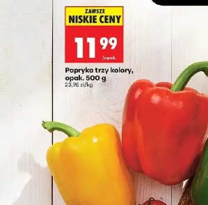 Papryka trzy kolory