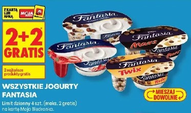 Wszystkie jogurty Fantasia