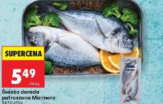 Świeża dorada patroszona Marinero