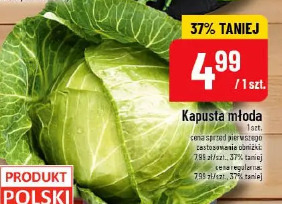 Kapusta młoda