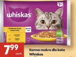 Whiskas karma mokra dla kota