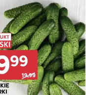Polskie ogórki gruntowe
