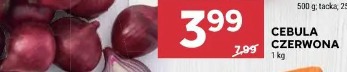 Cebula czerwona