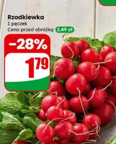 Rzodkiewka