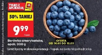 Borówka amerykańska