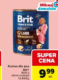 Karma dla psa Brit