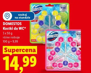 Domestos Kostki do WC