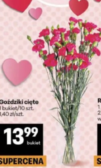 Goździki cięte