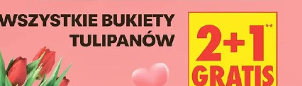Wszystkie bukiety tulipanów