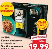 Sheba Karma dla kotów