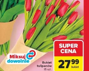 Bukiet tulipanów