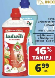 Ludwik płyn uniwersalny LUDWIK