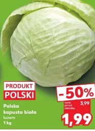 Polska kapusta biała