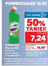 Domestos Płyn do WC