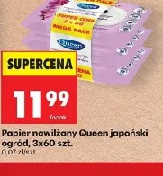 Queen papier nawilżany Queen japoński ogród