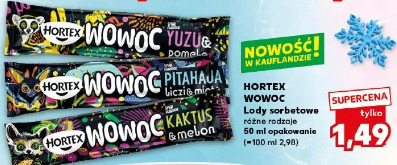 Hortex Wowoc Lody sorbetowe