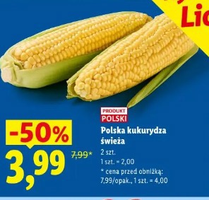 Polska kukurydza świeża